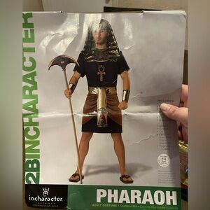 In Character Pharaoh Halloween Costume NWT